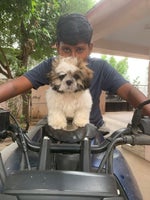 ElevenLabs 2025 04 13T07 18 43 Rachel pre sp100 s50 sb75 se0 b