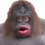 Thomas intro but its made really loud