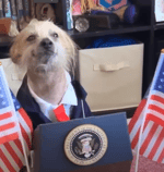 Radio Click Begin Transmission