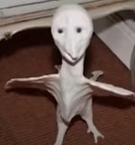 i just lost my dawg made with Voicemod