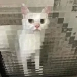 rolo compressor - Too loud (copy)