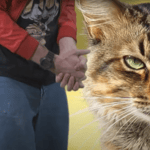 Darude Sandstorm Fart