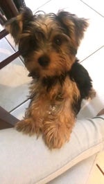 nobody believes in you you lost again and again and again