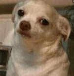 Vine Boom Sound Effect (Longer Verison For Real) (Read Descript