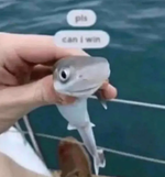 FEAR LOOP