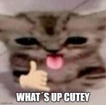 I came..i saw...i conquered