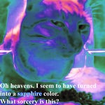 Forsaken - bluudud if he had an emote (bluudanc) (clean)