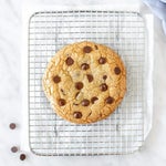 i love sucking cokie