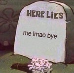 Do You Like Kombucha