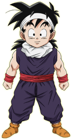 gohan bien hecho