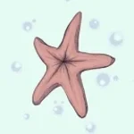 Chocolate starfish
