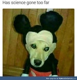 no role modelz slowd