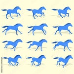 Sonido del caballo relinchando