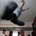 oh shiver me timber’s meme