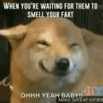 fart fart