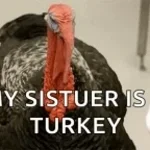 turkish rage 2 sped up