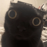 bacon egg and cheese