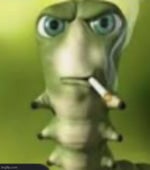 FRAISE FRAMBOISE MYRTILLE - Sound