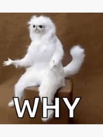 Why meme - Sound