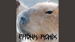 Capybara Capybara TikTok Song Full Version (Phonk Remix) Part 1