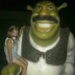 are you serious rn bro?