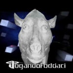 ESSE É O JOGANDOFODDACI