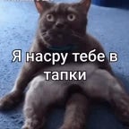 Я ТЕБЕ В КАРМАН НАСРУ - Sound