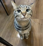 Super Mario 64 Teleport Sound Effect