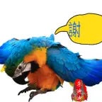 ungere cu cacat - Sound