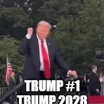 the big d trump be like