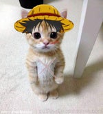 Mr Krabs Walking Noise Sound Effect