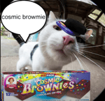 YOU MEAN I WASTED MY TOMATO SAUCE - Sound