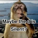 maybe the d is silent