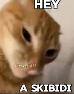 hey a skibidi
