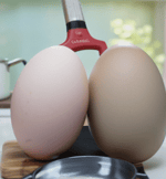 one and only - Sound