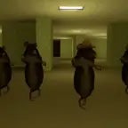 rat dance