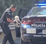 You Should Be Dancing