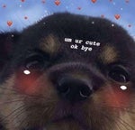 outro song - xenogenesis