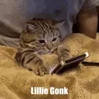 oh inkie pinki ponki