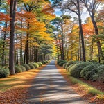 Your phone is ringing