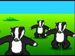 Badgers