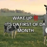 its the first of the month