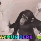 Dubber monyet bule euy ewe ewe 🤣 [eF1RPvb4E14]