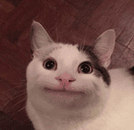 Take The L Dance In Fortnite