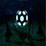 Groovy Long Legs stomping to the beat