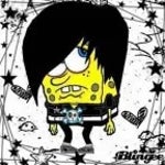 futterluke freestyle