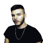 The HampsterDance Song