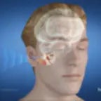 High Pitch Frequency Loop (copy)