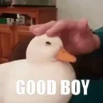 darf ich jz ein guter junge sein