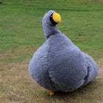 The biggest bird 🐦